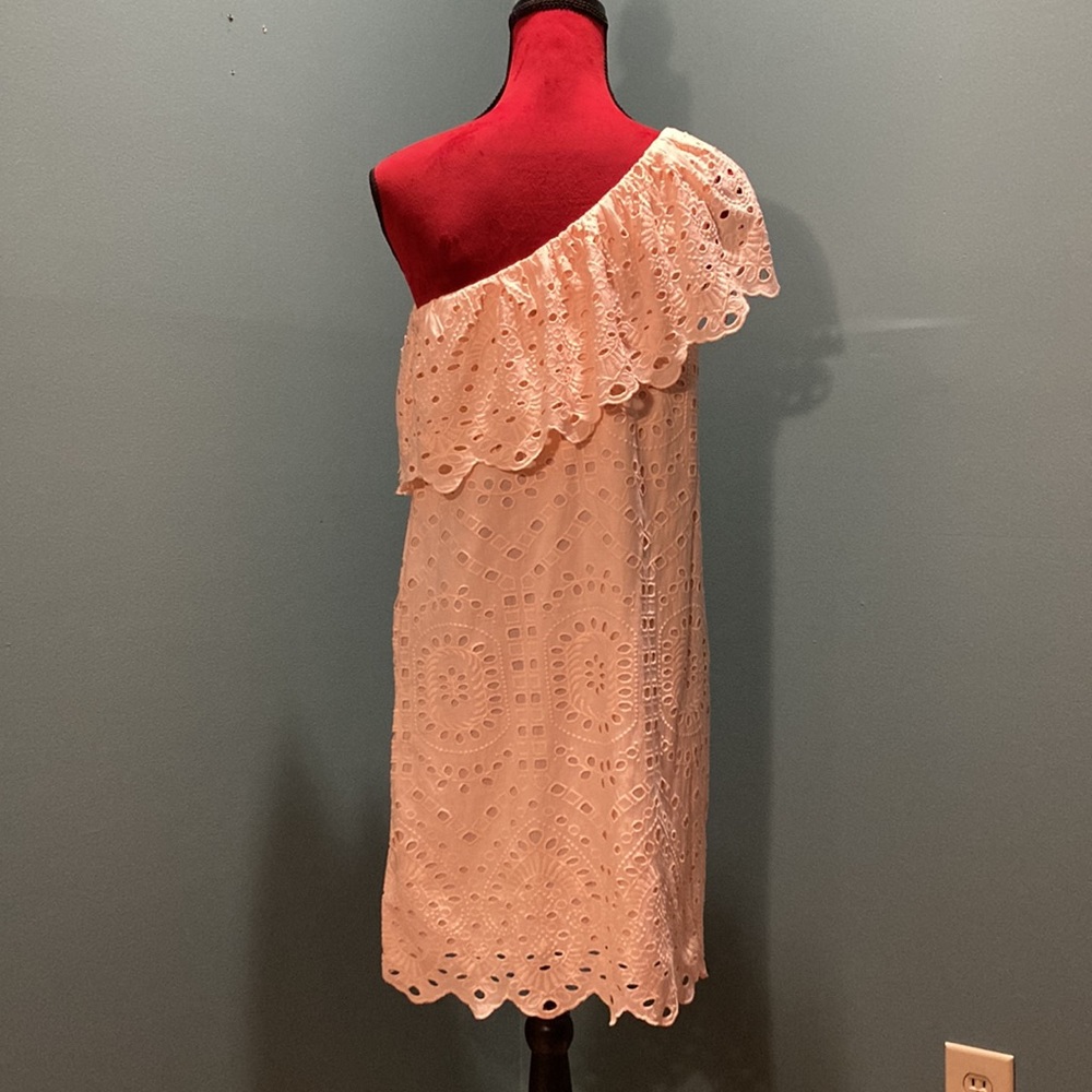 Loft NWT Pale Pink One Shoulder Cotton Eyelet Dress Size 4 - Picture 5 of 16